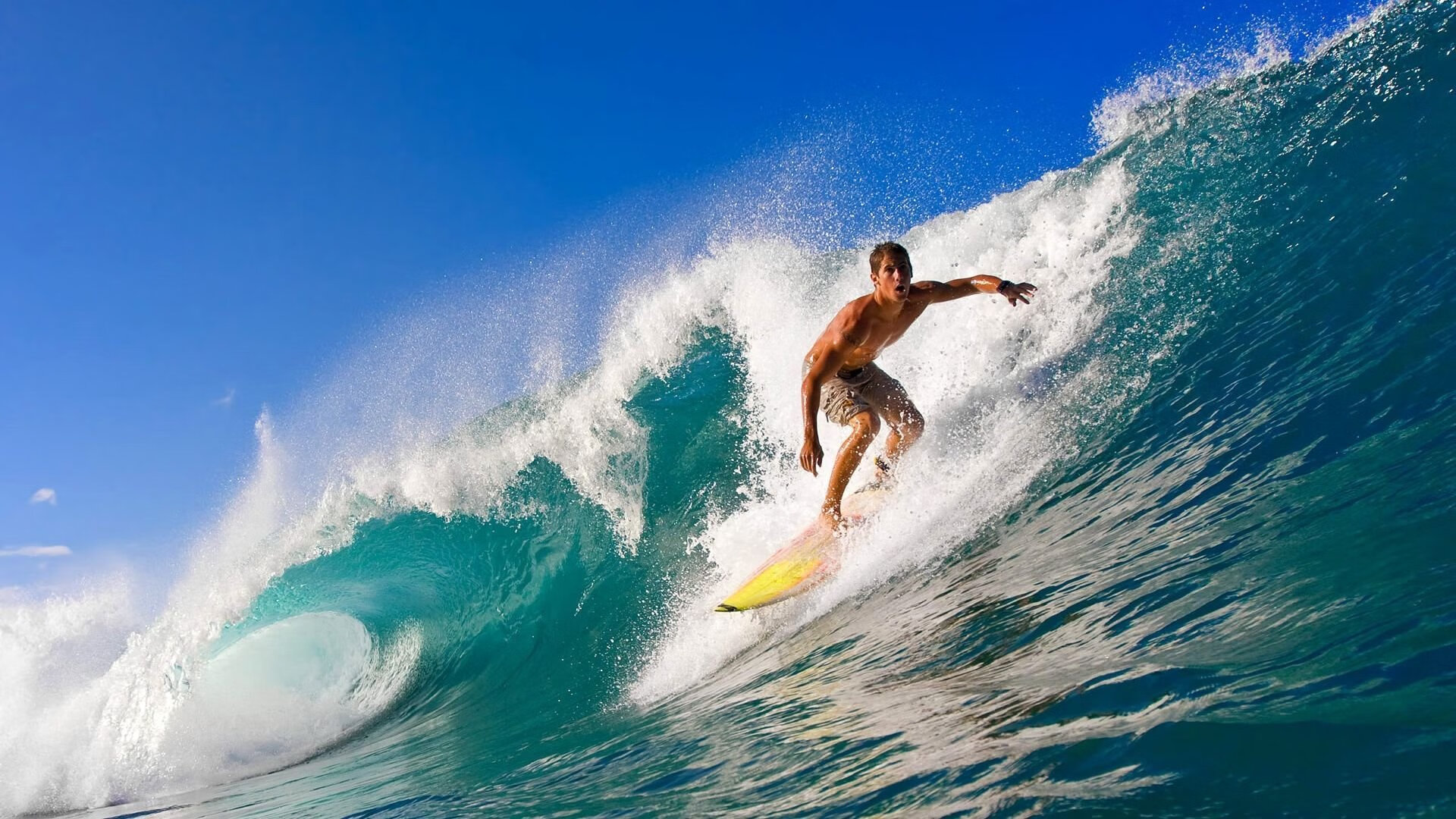 意大利骑手格里高利·瓦特莱特在2024年国际马术联合会障碍赛世界巡回赛中以“Maximus”马匹获得个人第五名，展现坚韧精神。