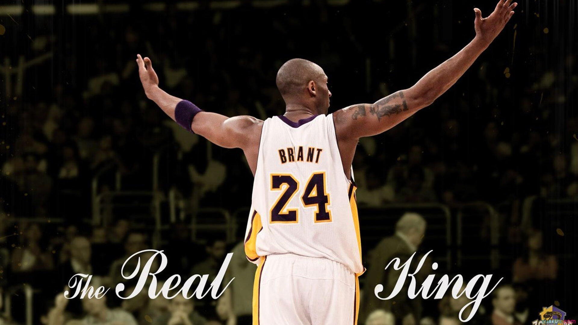 未来联盟：虚拟实境和AI带来的“沉浸式观赛”体验，未来联盟巨星